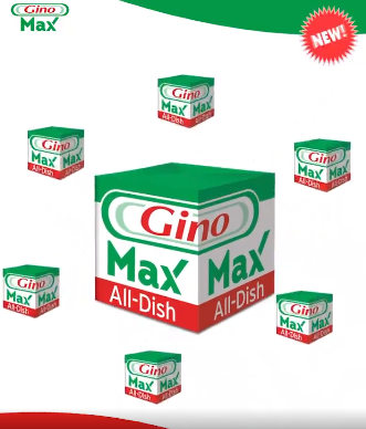 Gino Max all dish 32x 35