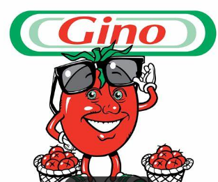 gino tomatoes